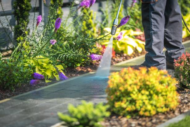 Best Dumpster Area Cleaning  in Winchester, MO